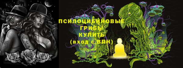 бошки Абаза