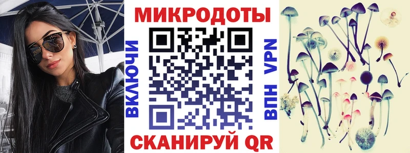 Галлюциногенные грибы Psilocybe  закладки  Элиста 